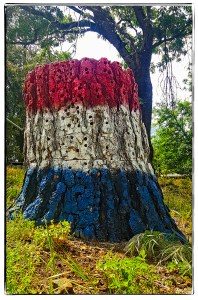 34582061222_399544b56c_o